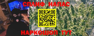 гидропоника Обнинск