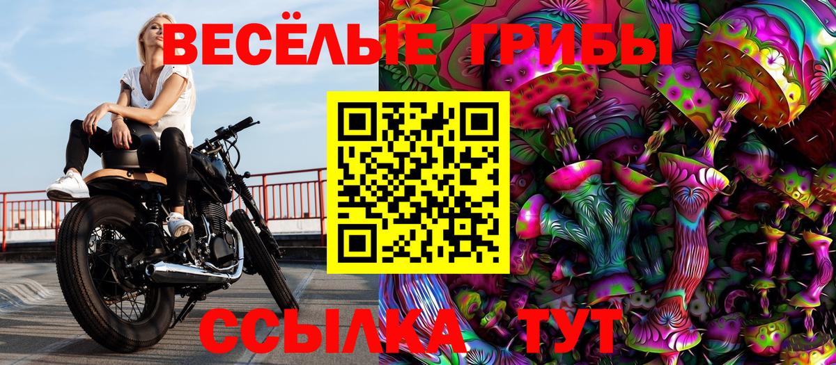 Псилоцибиновые грибы Psilocybine cubensis  Галлюциногенные грибы Cubensis  Вход с VPN  Узловая 